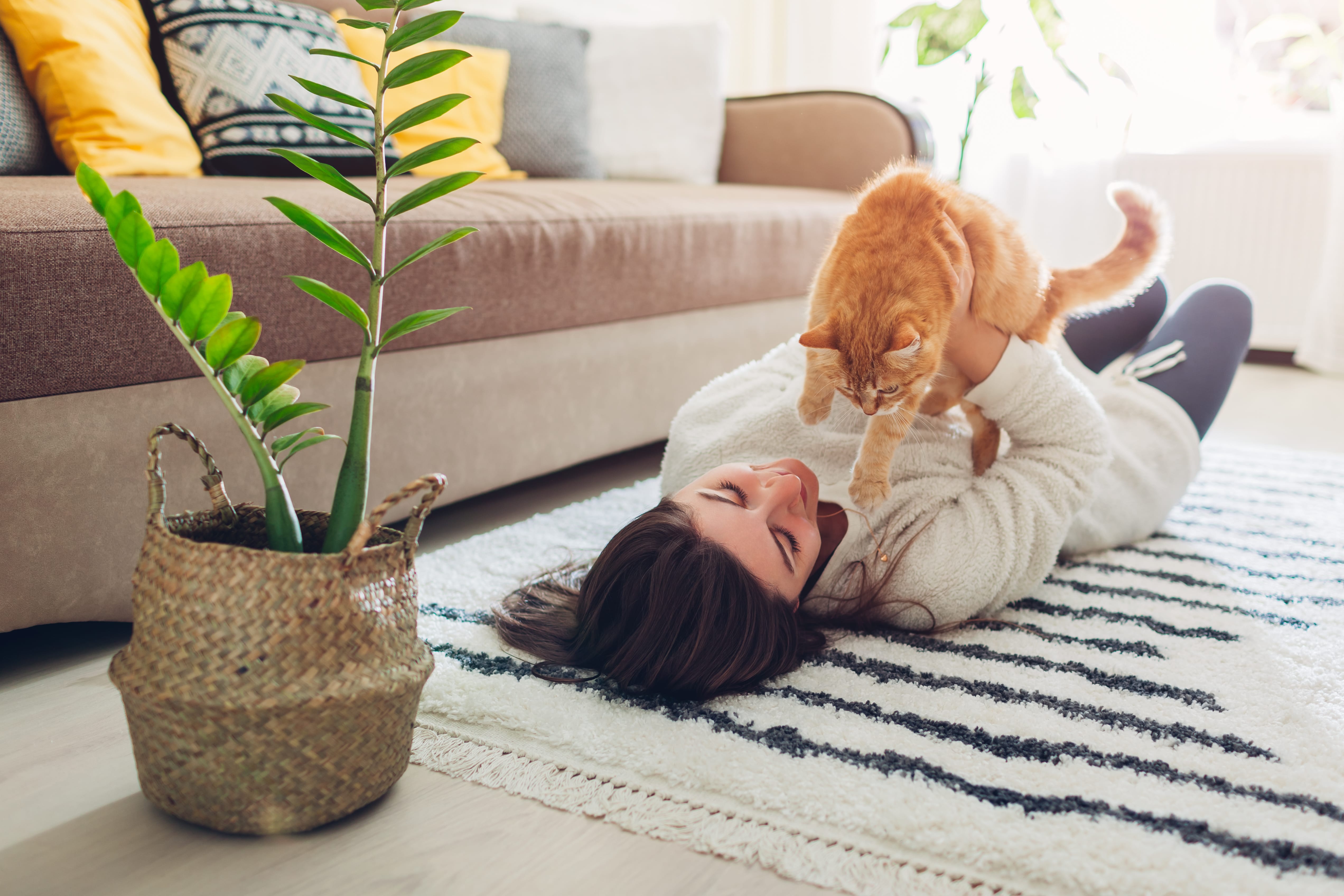 Pros and Cons of Allowing Pets in Your Rental Property in Duluth, MN
